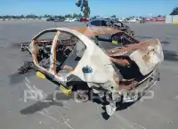 2016 Subaru WRX photo