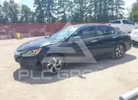 2016 Honda Accord photo