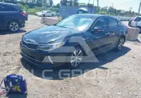 2016 KIA Optima фото