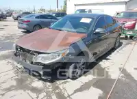 2016 KIA Optima фото