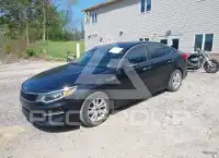 2016 KIA Optima фото