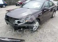 2016 KIA Optima фото