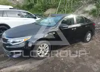 2016 KIA Optima фото