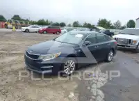 2016 KIA Optima фото