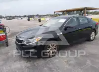 2016 KIA Optima фото