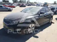 2016 KIA Optima фото