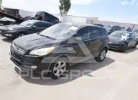 2016 Ford ESCAPE photo