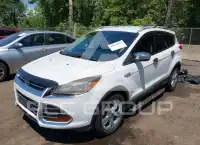 2016 Ford ESCAPE photo