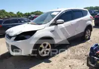 2016 Ford ESCAPE photo