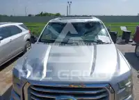 2016 Ford F-150 фото