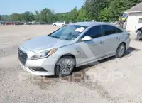 2016 Hyundai Sonata фото