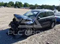 2016 Volkswagen Tiguan фото