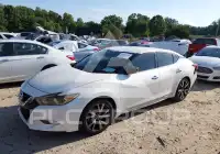 2017 Nissan MAXIMA photo