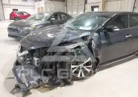 2017 Nissan MAXIMA photo