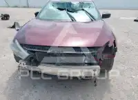 2017 Nissan MAXIMA photo