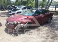 2017 Nissan MAXIMA photo