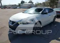 2017 Nissan MAXIMA фото