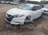 2017 Nissan MAXIMA photo