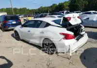 2017 Nissan MAXIMA photo