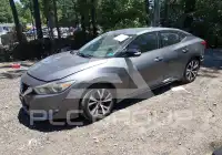 2017 Nissan MAXIMA photo
