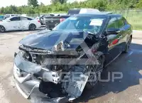 2017 Nissan MAXIMA photo