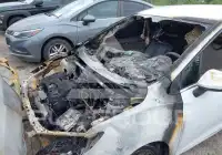 2017 Chevrolet Cruze фото