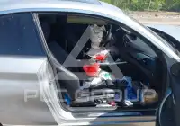 2017 BMW 230 фото
