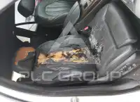 2017 BMW X5 фото