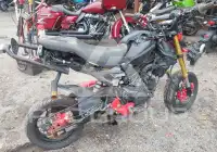 2017 Honda GROM photo
