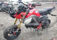 2017 Honda GROM photo