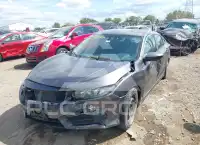 2017 Honda CIVIC photo
