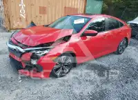 2017 Honda CIVIC photo