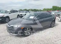 2017 Honda CIVIC photo