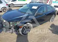 2017 Honda CIVIC фото
