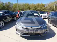 2017 Honda Accord photo