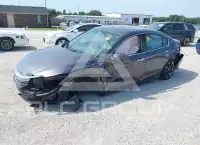2017 Honda Accord фото