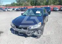 2017 Honda Accord photo