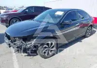 2017 Honda Accord photo