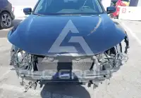 2017 Honda Accord photo