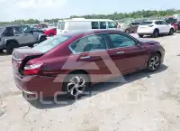 2017 Honda Accord photo