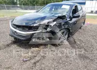 2017 Honda Accord photo