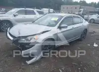 2017 Honda Accord photo