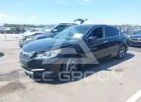 2017 Honda Accord photo