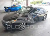 2017 Honda Accord photo