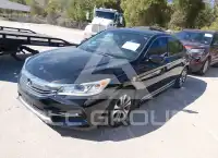 2017 Honda Accord photo