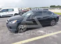 2017 Honda Accord photo