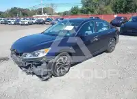 2017 Honda Accord photo