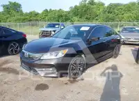 2017 Honda Accord photo