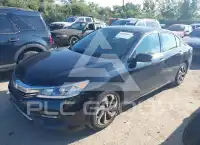 2017 Honda Accord photo
