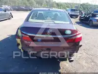 2017 Honda Accord фото